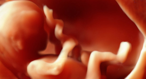 Der Combined Test wird zwischen der 11. und 14. Schwangerschaftswoche durchgeführt. 